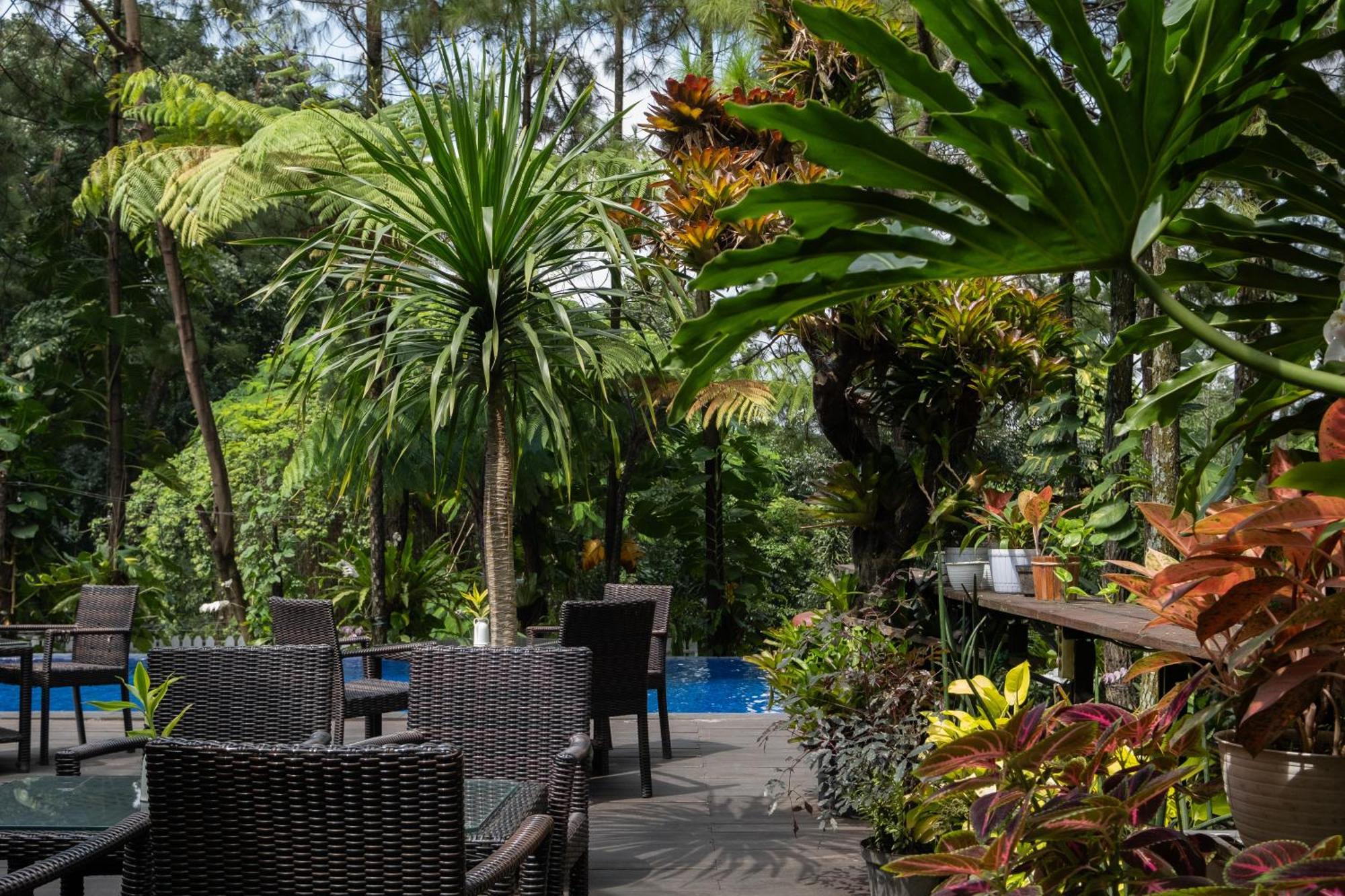 House Sangkuriang Bandung